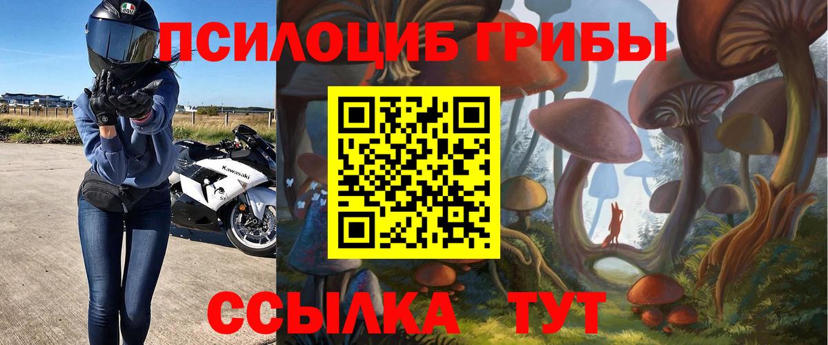 Псилоцибиновые грибы Psilocybine cubensis  Псилоцибиновые грибы прущие грибы  Родники  Вход с VPN 